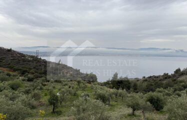 Loutraki Korinthias plot with panoramic view 6500 sq.m