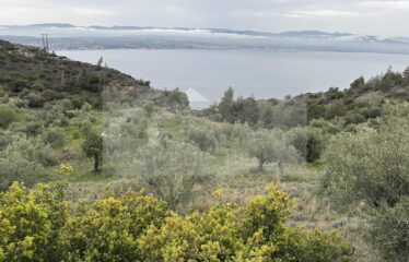 Loutraki Korinthias plot with panoramic view 6500 sq.m