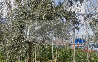 Αθήνα Νέα Χαλκηδόνα οικόπεδο 356 τ.μ