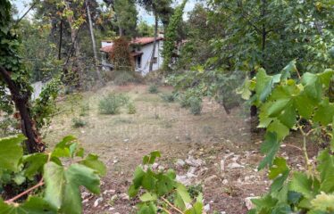 Dionysos Attica 757 sq.m plot